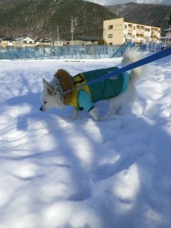 120128-3.jpg