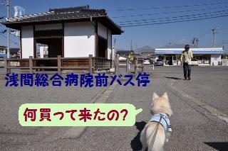 141019-k15.jpeg