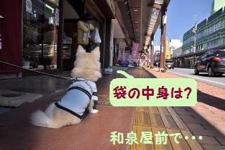 141019-k18.jpeg