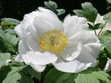170519-5.jpg