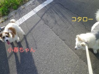 170606-2.jpg