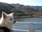081207-k4.jpg