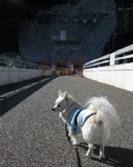 090208-k3.jpg