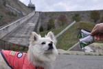 090505-k8.jpg
