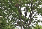 090614-k4.jpg