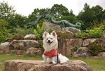 090614-k7.jpg