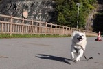091004-k6.jpeg
