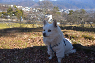 003E115B-23FD-42C0-9923-0FD4E6155275.jpeg