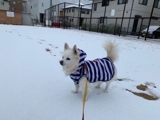 02D51803-37F6-48A6-B048-D0B02CB51408.jpeg