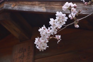 03A7A748-8D38-4122-A120-0ACAEBFE5E57.jpeg