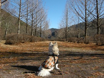 081207-k1.jpg