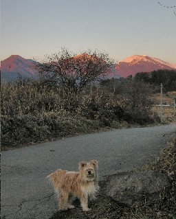 081207-k7.jpg