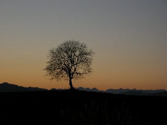 081207-k8.jpg