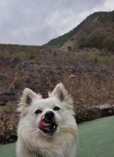 090505-k6.jpg