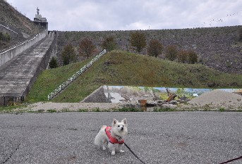 090505-k7.jpg