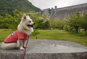 090614-k2.jpg
