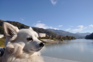 101107-k11-.jpeg
