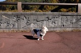 101107-k7-.jpeg