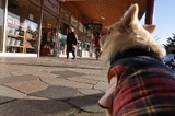 110305-k5-.jpeg