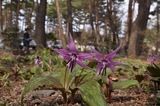 110403-k5.jpeg