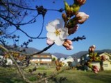 110412-3.jpg