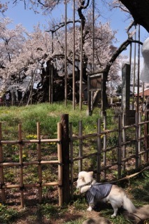 110416-k7.jpeg