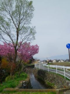 110422-1.jpg