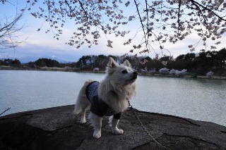 110424-k22.jpeg
