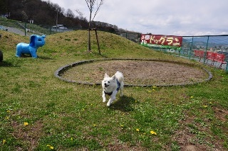 110429-k1.jpeg