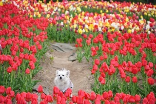 110507-k19.jpeg