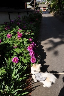 110514-k3.jpeg