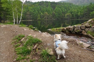 110605-k1.jpeg