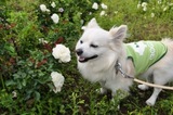 110619-k3.jpeg