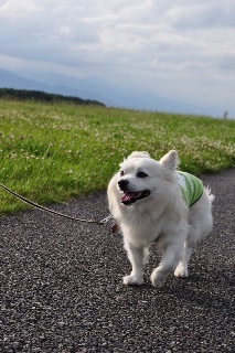 110619-k5.jpeg