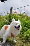 110703-k5.jpeg