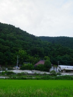 110722-2.jpg