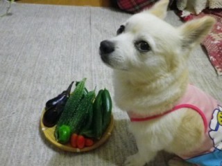110725-12.jpg