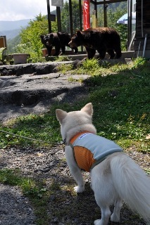 110816-k20.jpeg