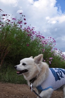 110918-k11.jpeg