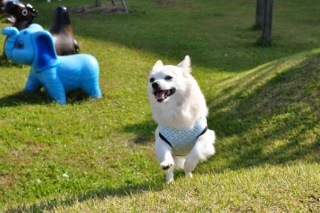 111009-k5.jpeg