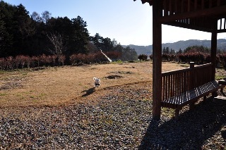111204-k2.jpeg