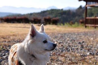 111204-k3.jpeg