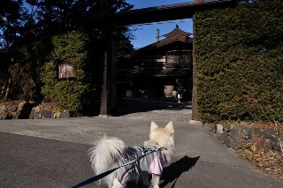 111223-k1.jpeg