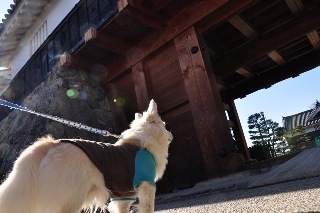 120108-k1.jpeg