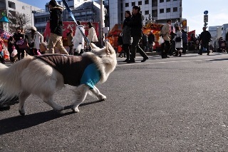 120108-k5.jpeg