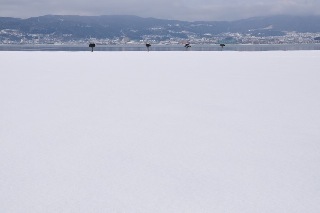 120122-k5.jpeg