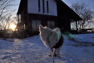 120129-k12.jpeg