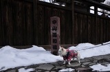 120129-k2.jpeg