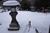 120129-k5.jpeg