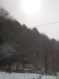 120202-3.jpg